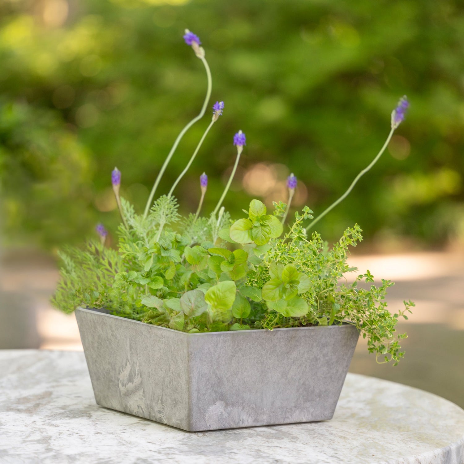 Flower Pots